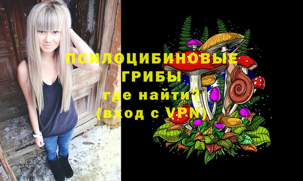 дмт Михайлов