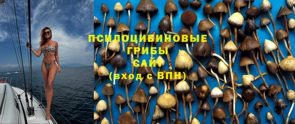 гидропоника Михайловск