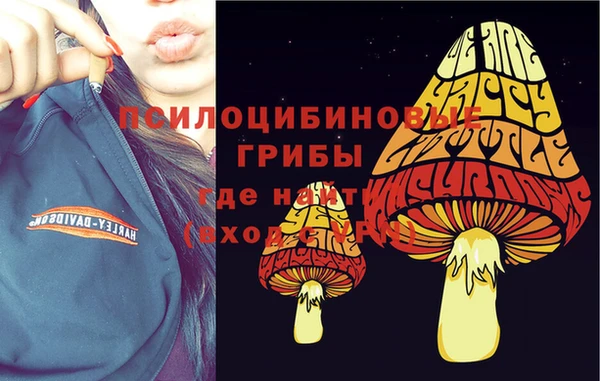 гидропоника Михайловск